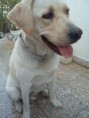 /album/rocko/dsc02973-jpg/