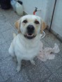 /album/rocko/dsc02974-jpg/