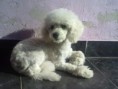 /album/jana/a976356-10201124669867228-938665451-o-jpg/