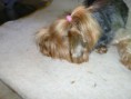 /album/wendy-y-sheltzian/a247743-127988497400498-1363973055-n-jpg/