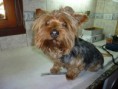 /album/wendy-y-sheltzian/a941207-127988847400463-1200871696-n-jpg/