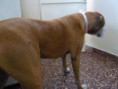 /album/sasha/a316097-127320897467258-4054689-n-jpg/