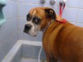 /album/sasha/a936395-127320717467276-13757752-n-jpg/