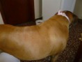 /album/sasha/a969121-127320944133920-883974548-n-jpg/